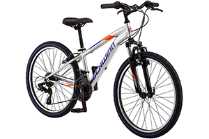 schwinn 24 inch kids bike